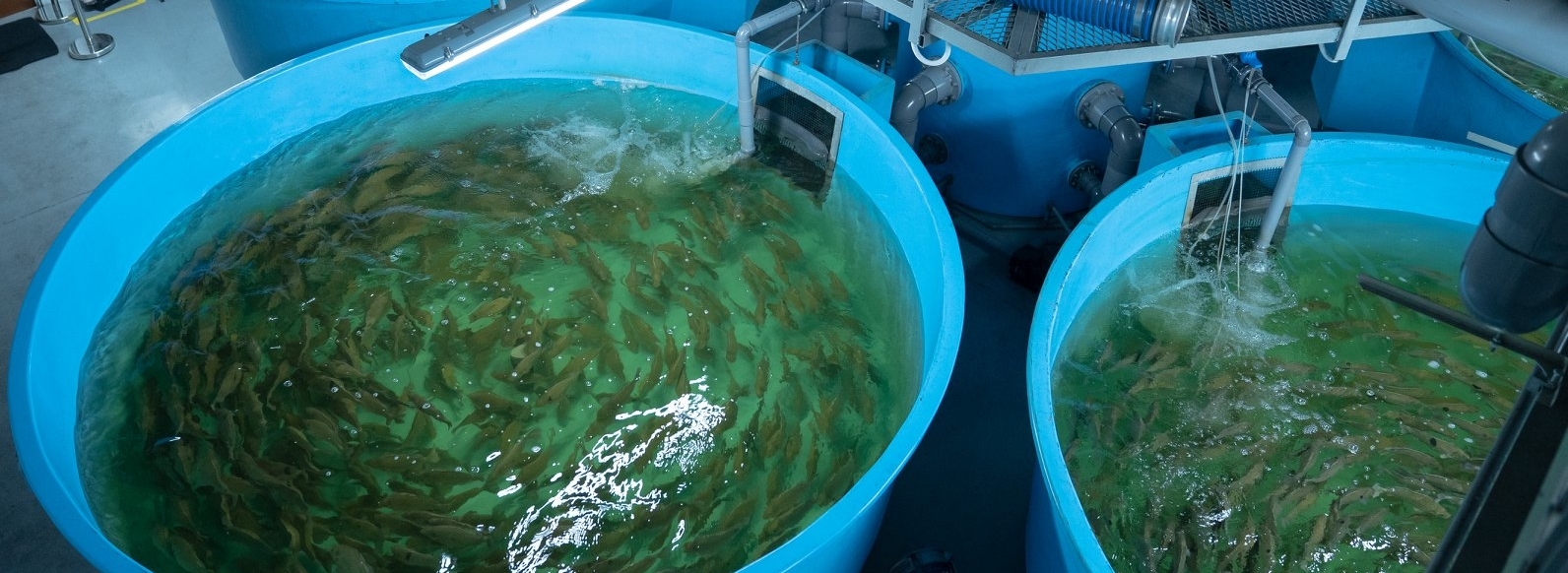 Ministry of the Environment and Water Resources (MEWR) features BOAT